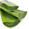 Aloe Vera 200X